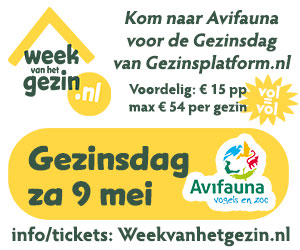 Advertentie Gezinsdag 2026 - 300 x 250px