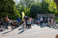 (IMG_5626_raw) (IMG_5626_raw)